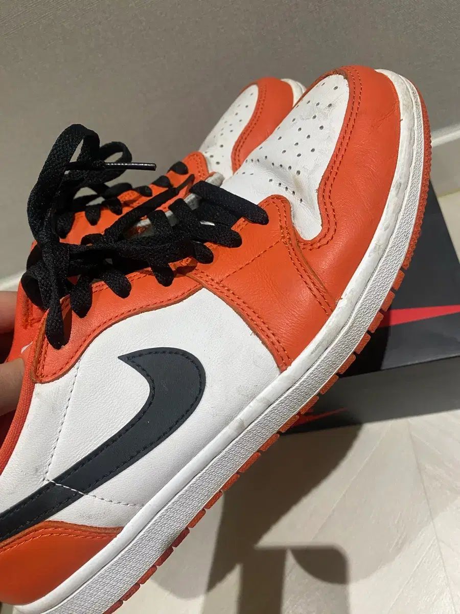 ロー スターフィッシュ