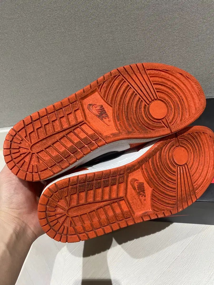 スターフィッシュ