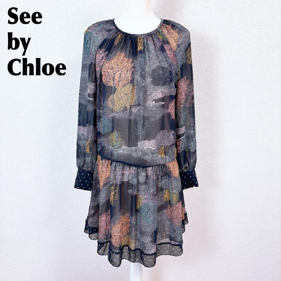 シーバイクロエ 長袖シアーワンピース 36 総柄 ドット袖