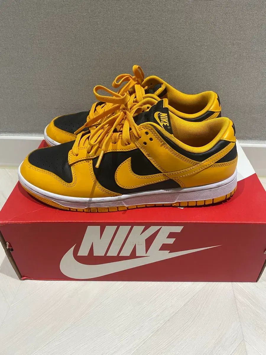 ダンクロー チャンピオンシップ ゴールデンロード 275