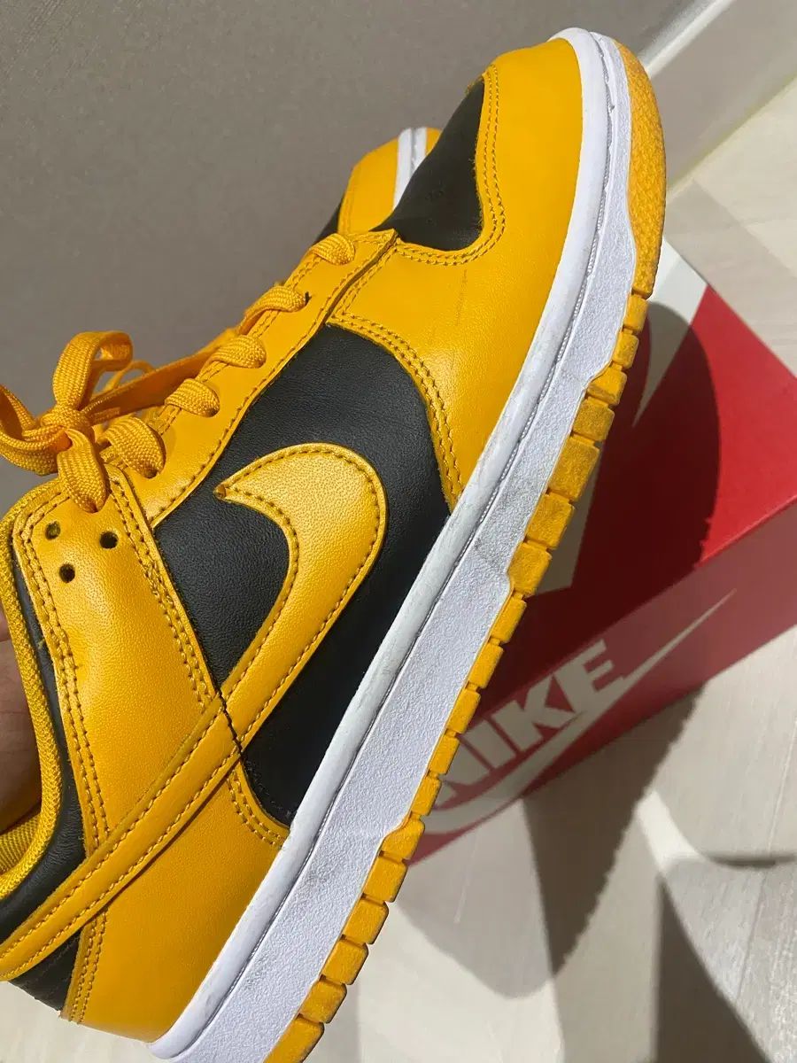 ゴールデンロード 275