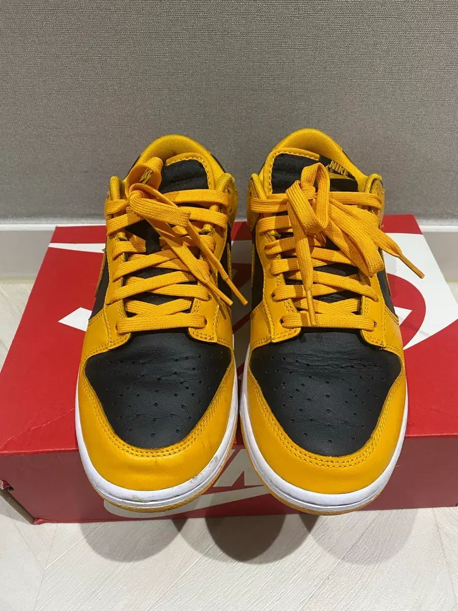 ダンクロー チャンピオンシップ ゴールデンロード 275