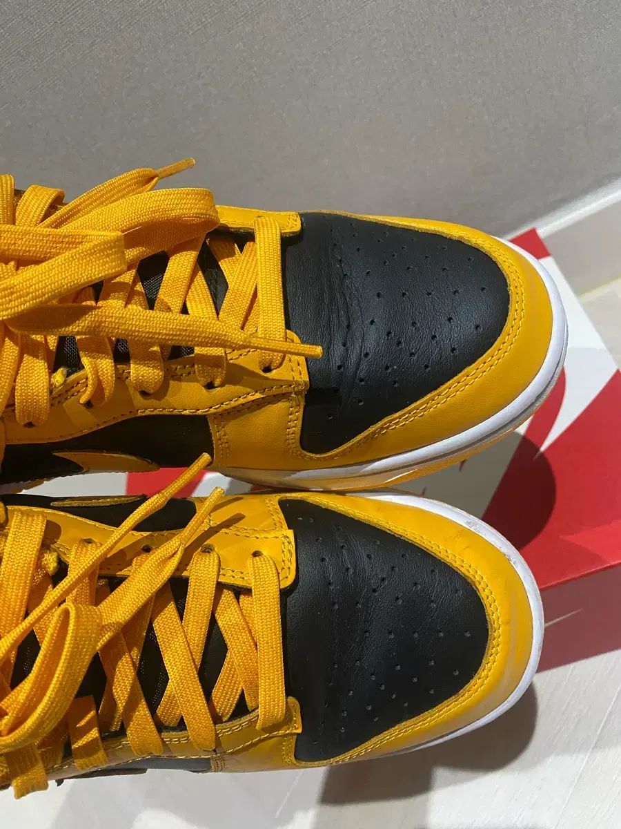 ダンクロー チャンピオンシップ