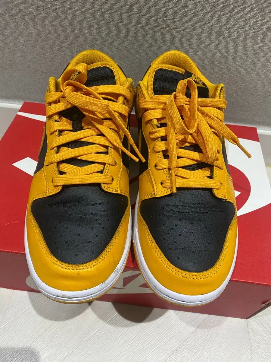 ダンクロー チャンピオンシップ