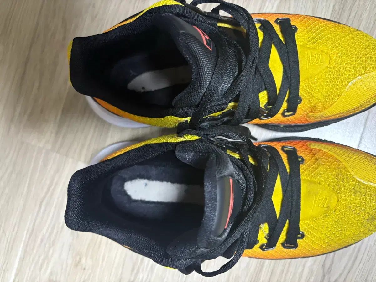 カイリー ロー2 サンセット 255