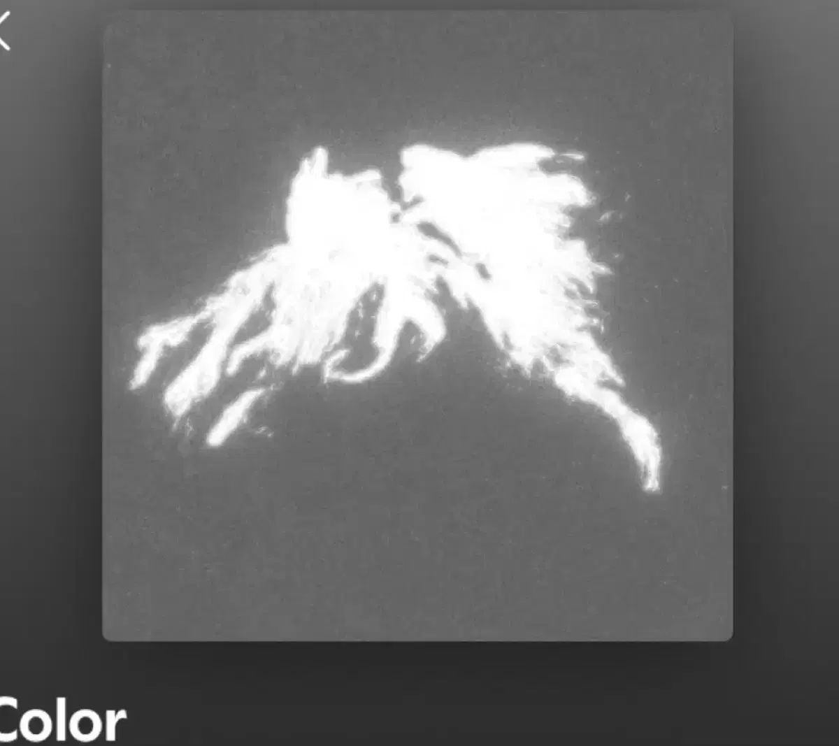 チューズデー ビーチ クラブ color lp