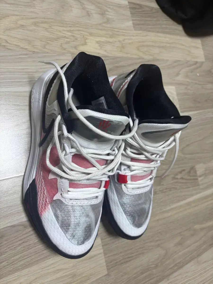 カイリー 8 ユニバーシティレッド 260