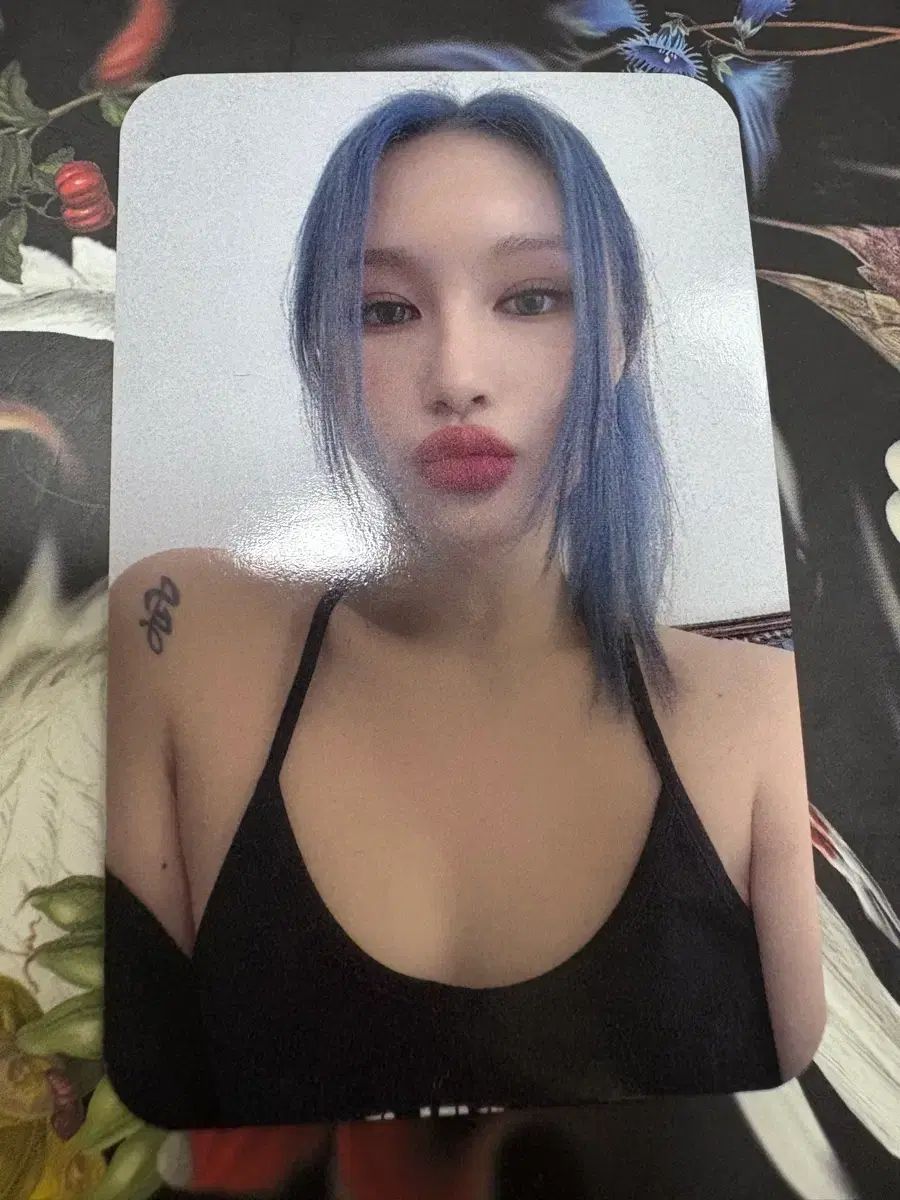 DREAMCATCHER(ドリームキャッチャー) シヨン 公開番組 サノク トレカ