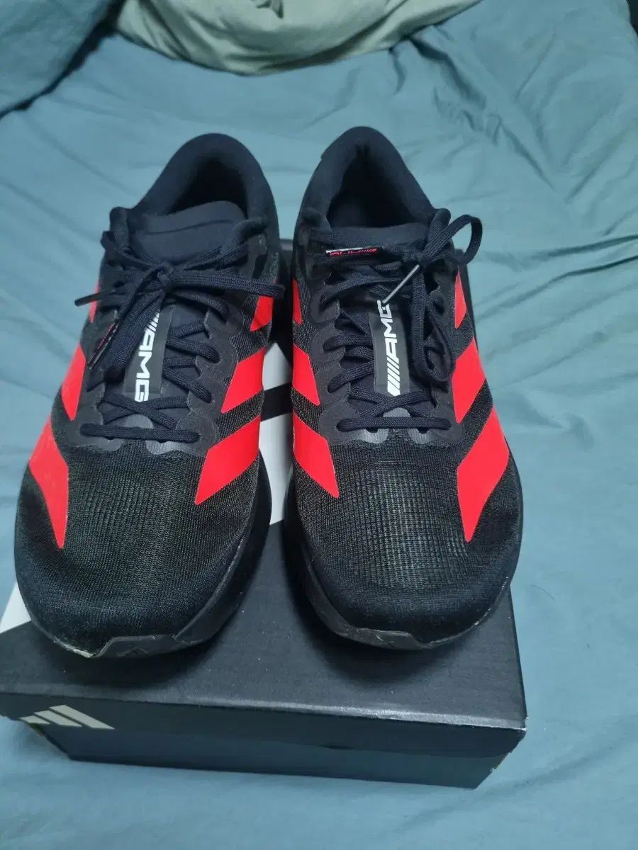 アディダス x メルセデスAMG アディゼロ EVO SL モデル 265 サイズ