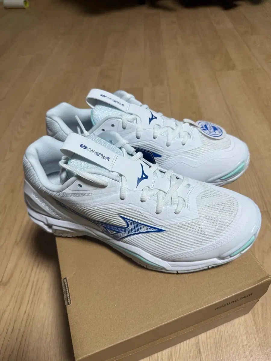 ミズノ ウェーブ ステルス6 ワイド 250 mm インドアシューズ