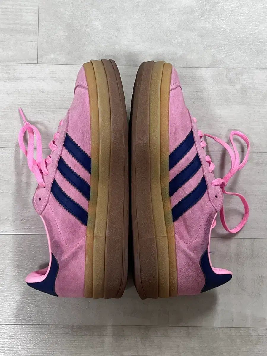 ガゼル ボールド