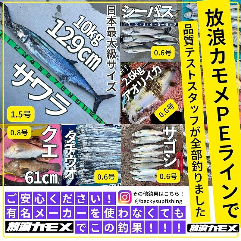 放浪カモメ PEライン 釣り糸 2号 500M 5色 マルチカラー 8本編 28lb