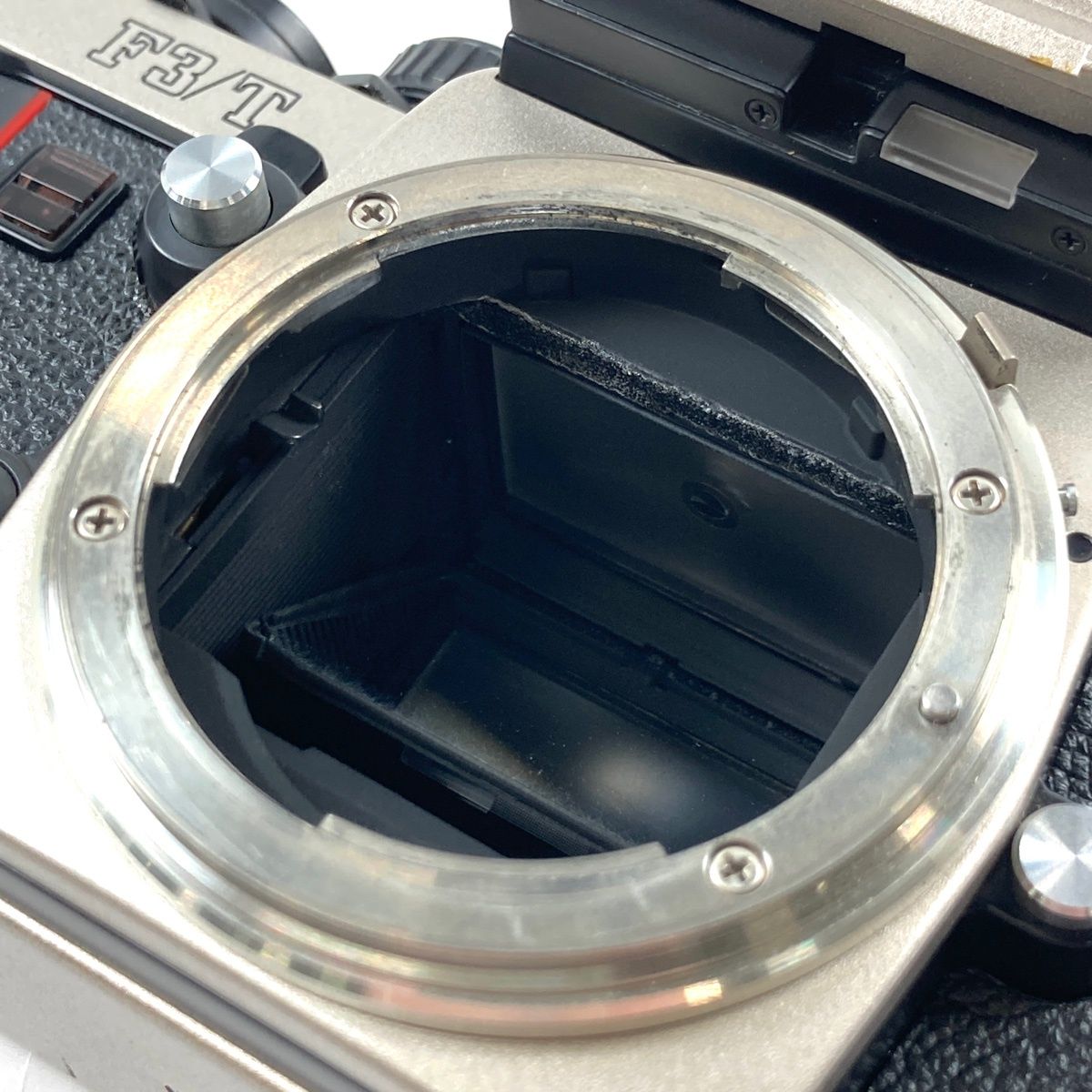 ボディ フィルム