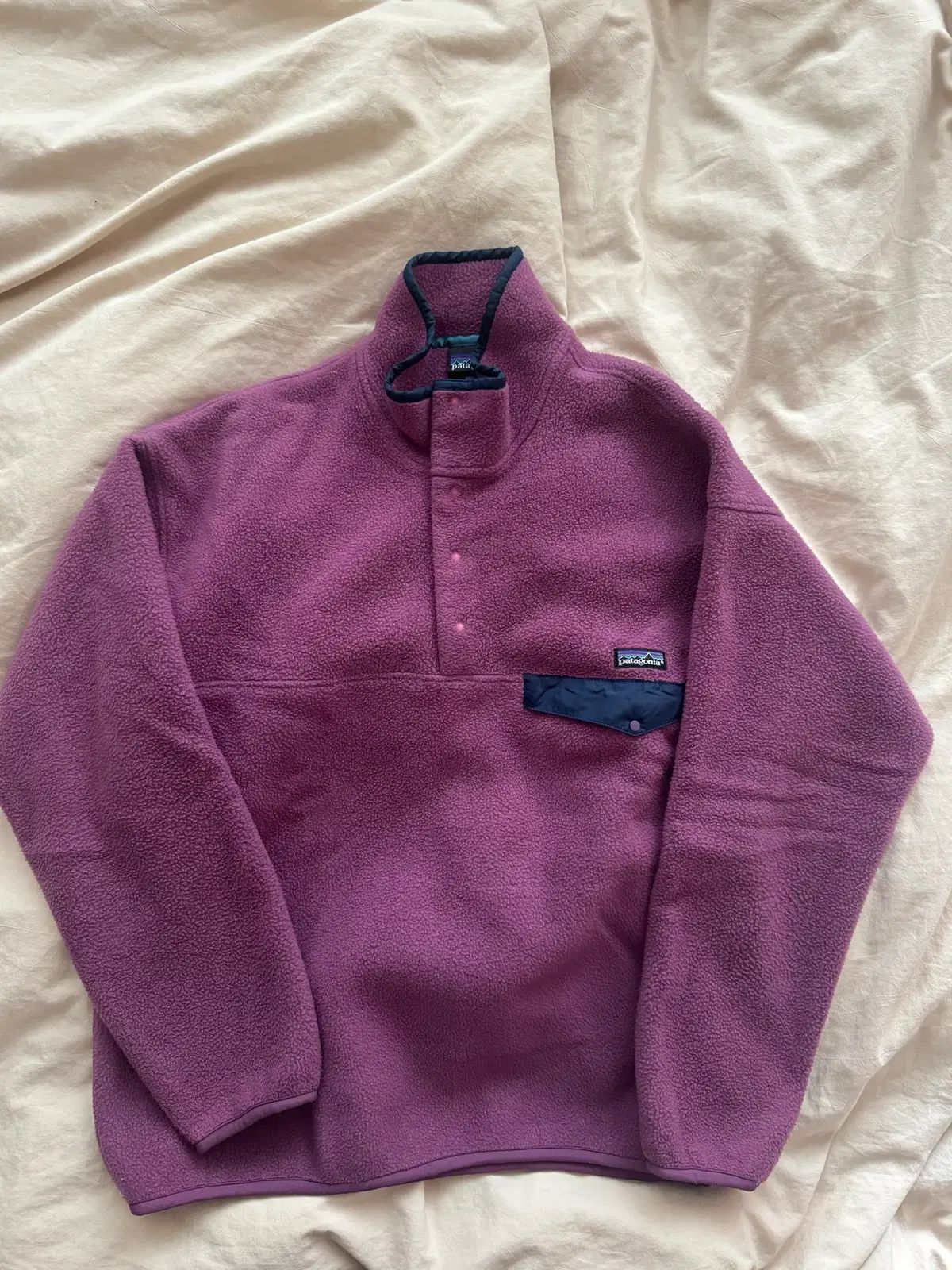 Patagonia ヴィンテージ パタゴニア Synchilla シンチラ L 1993年