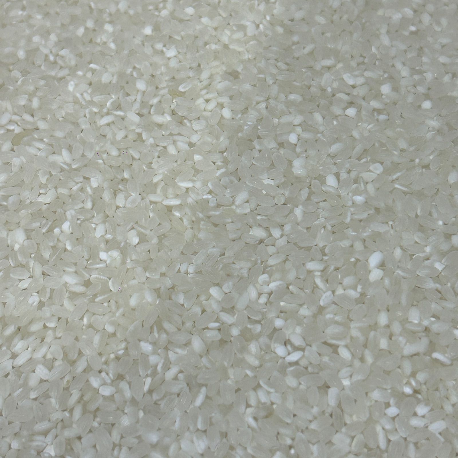 生活応援米 20kg《令和7年産》高品質・コスパ米 - メルカリ