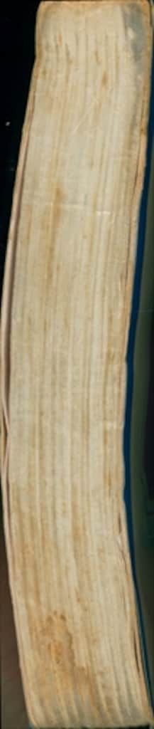 若木書房 ティーン・コミックス わたなべまさこ 小さな花 - メルカリ