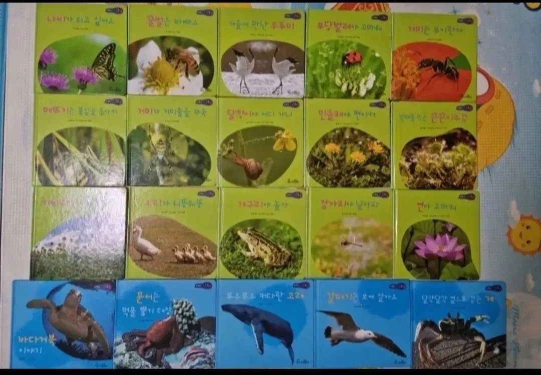 そ ごん 自然観察 本 赤ちゃん 幼児