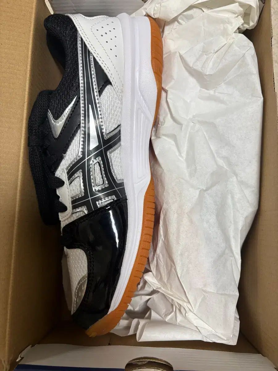 アシックス バレーボールシューズ