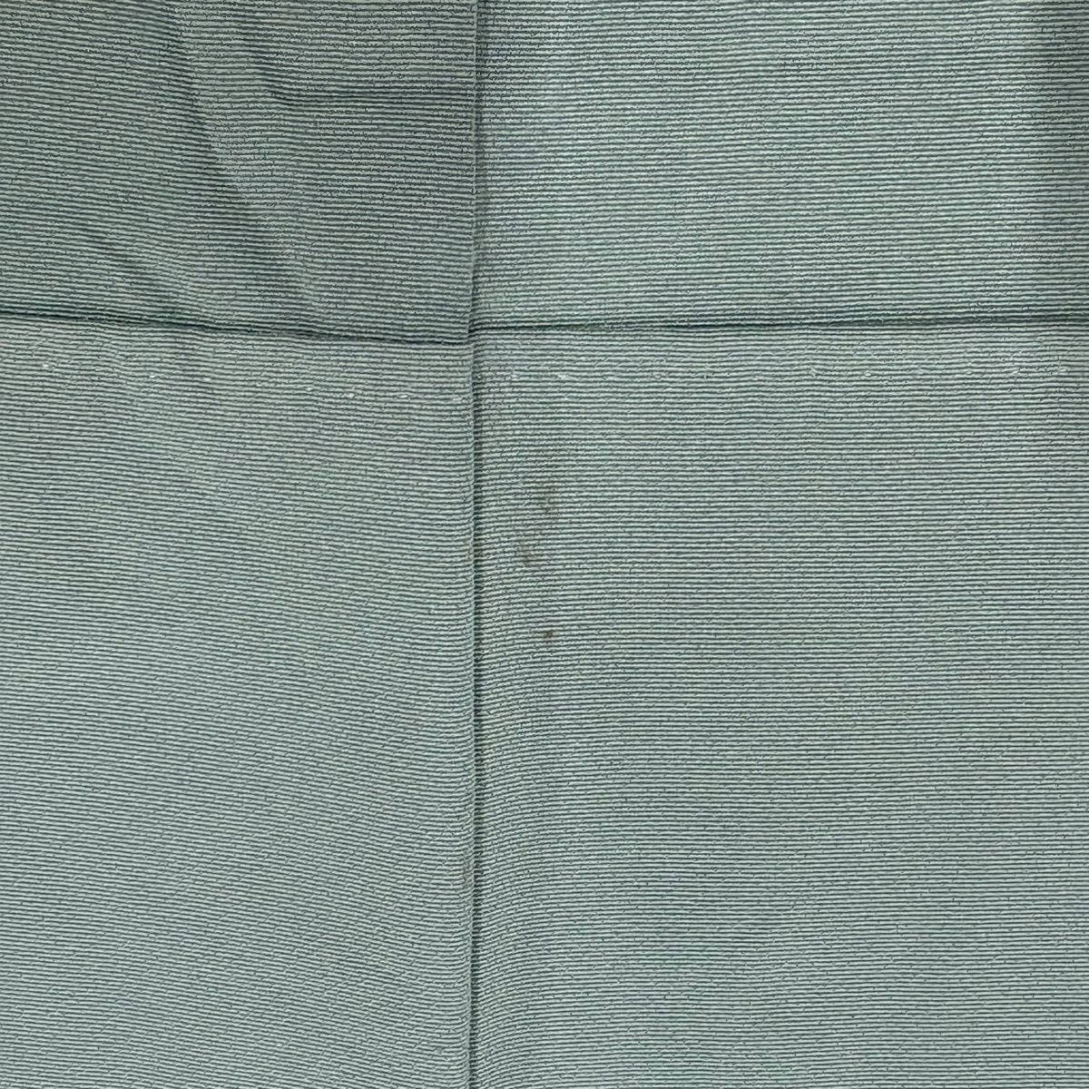  訪問着 身丈158 cm 裄丈64 M 袷 扇 雲文 金糸 金彩 薄緑 正絹 名品 訪問着 付け下げ 着物