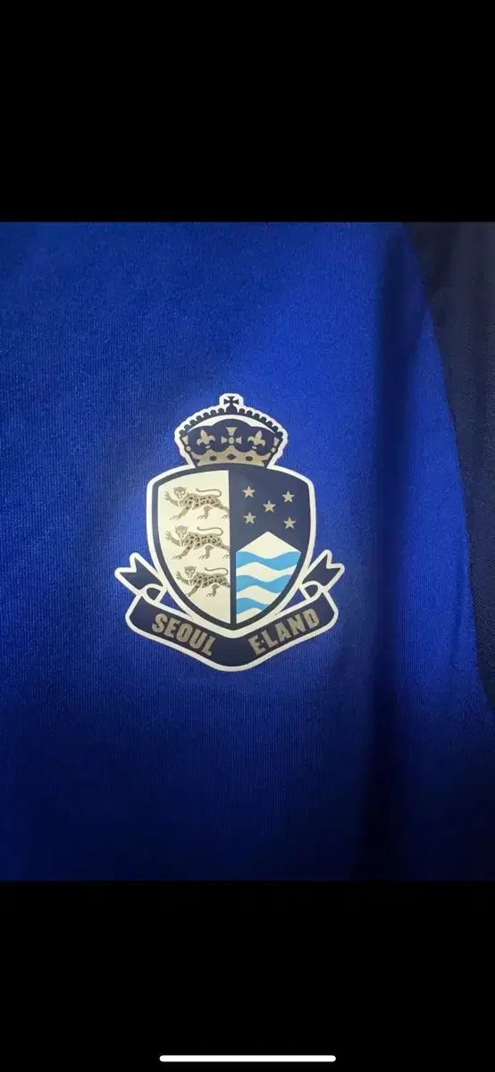 SEOUL ソウル イーランド FC トレーニングウェア 選手 クラス