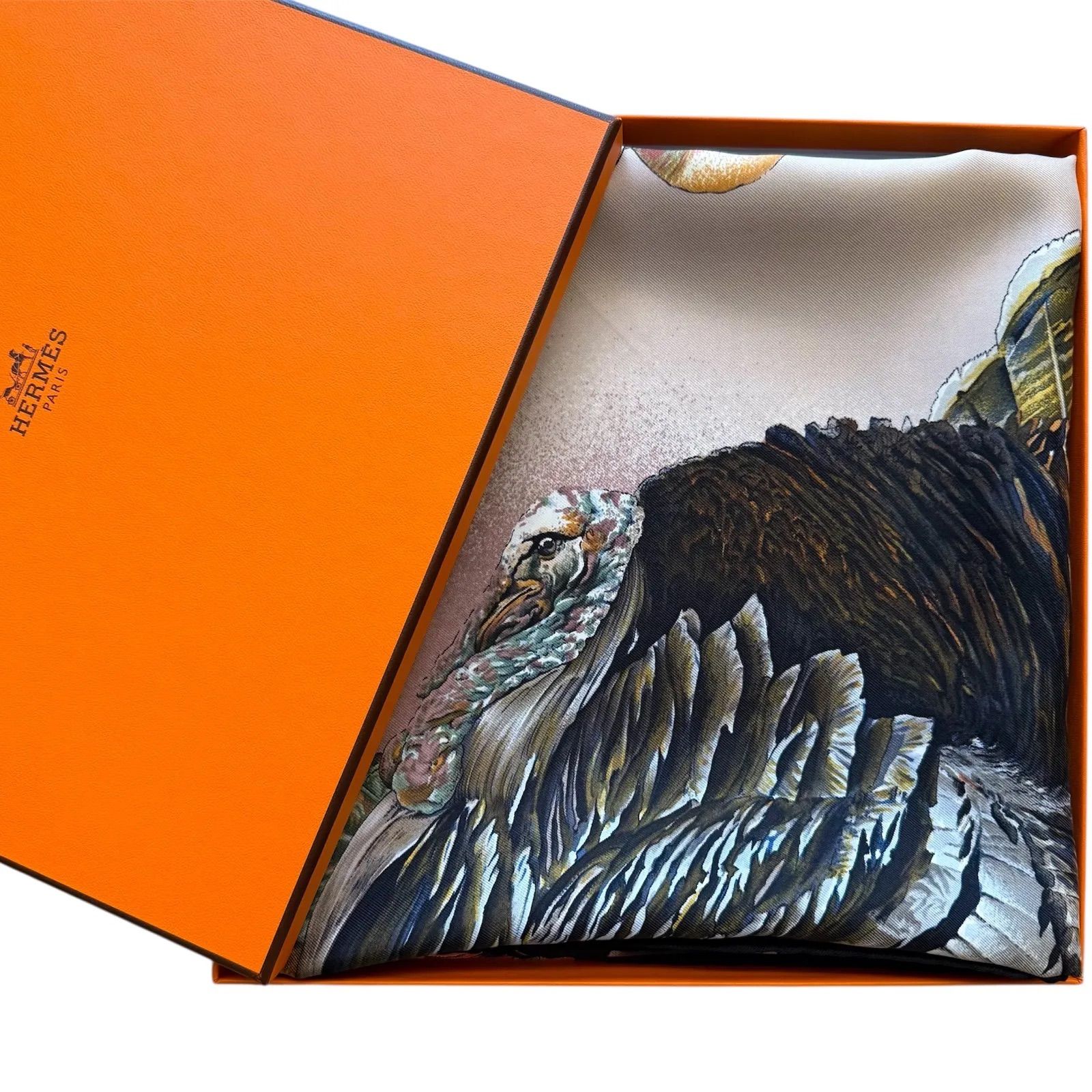 希少 美品 エルメス シルクスカーフ カレ90 テキサス動植物図鑑