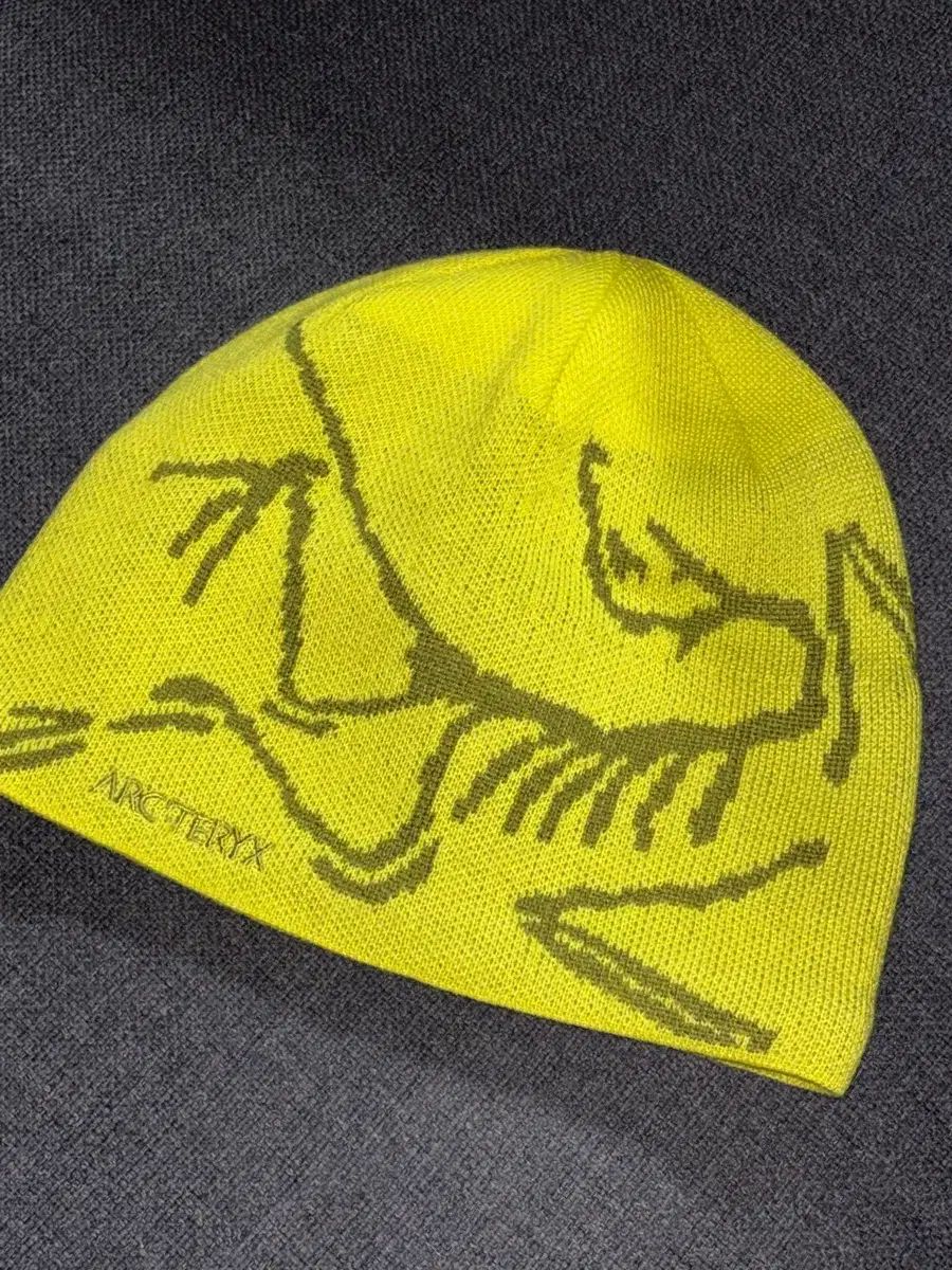 アークテリクス ビーニー バード ヘッド トーク U オリーブ モス