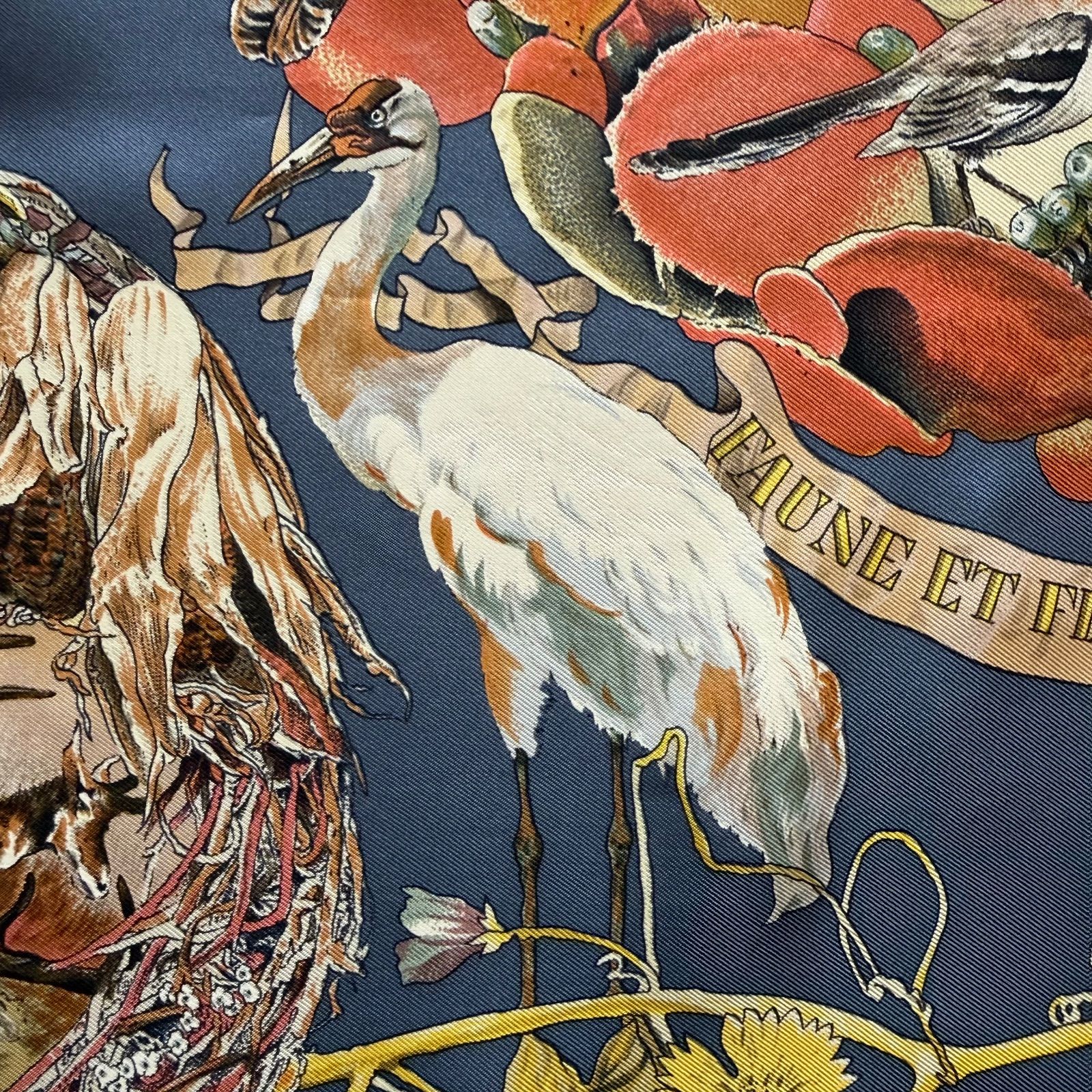 テキサス動植物図鑑