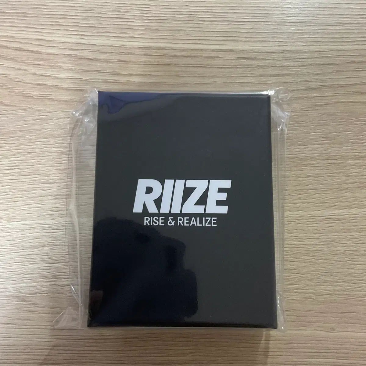 RIIZE ライズ ウォンビン WONBIN UP シルバー ネック トレカ