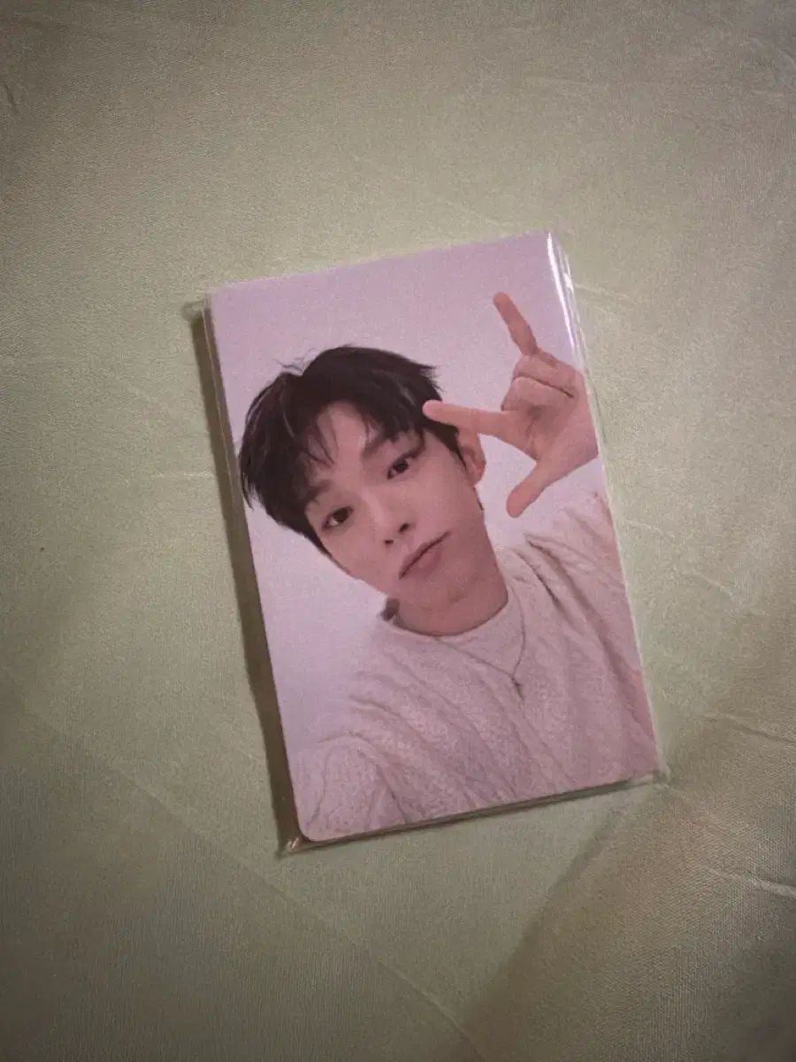 アシュ ファースト ファンコン 入場 トレカ 特典