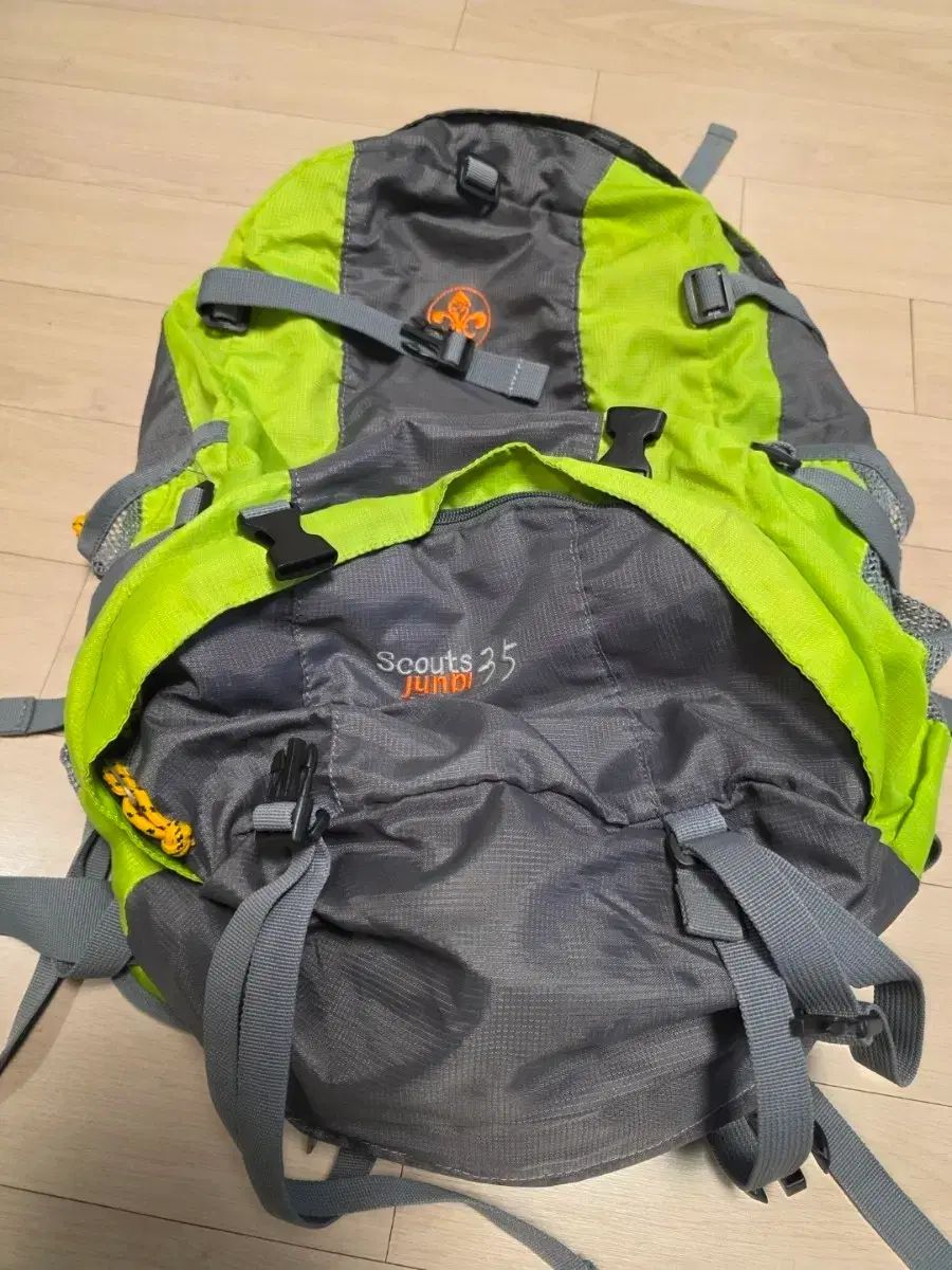 Scouts スカウト キャンピング バックパック グリーン色