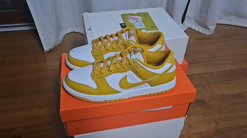  HF 5441 109 NIKE ダンク ロー レトロ 285 mm スニーカー 靴