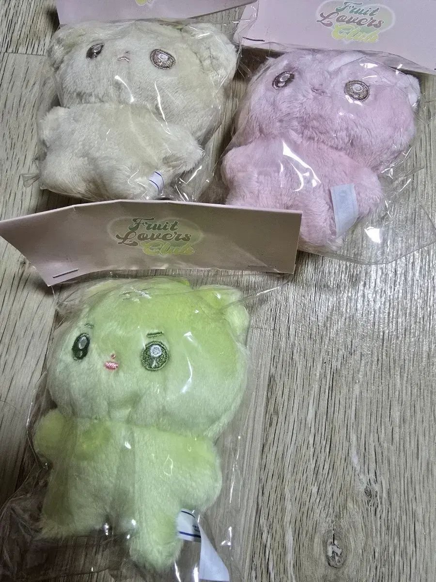 デビューできないと死ぬ病気にかかってしまいました 당도최고アヒョンムンデセジン