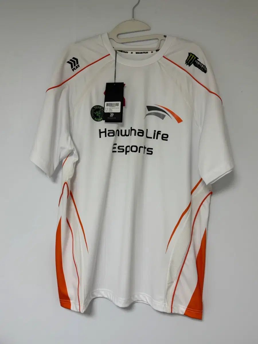 25 ハンファ生命eスポーツ Zeus マーキング 110