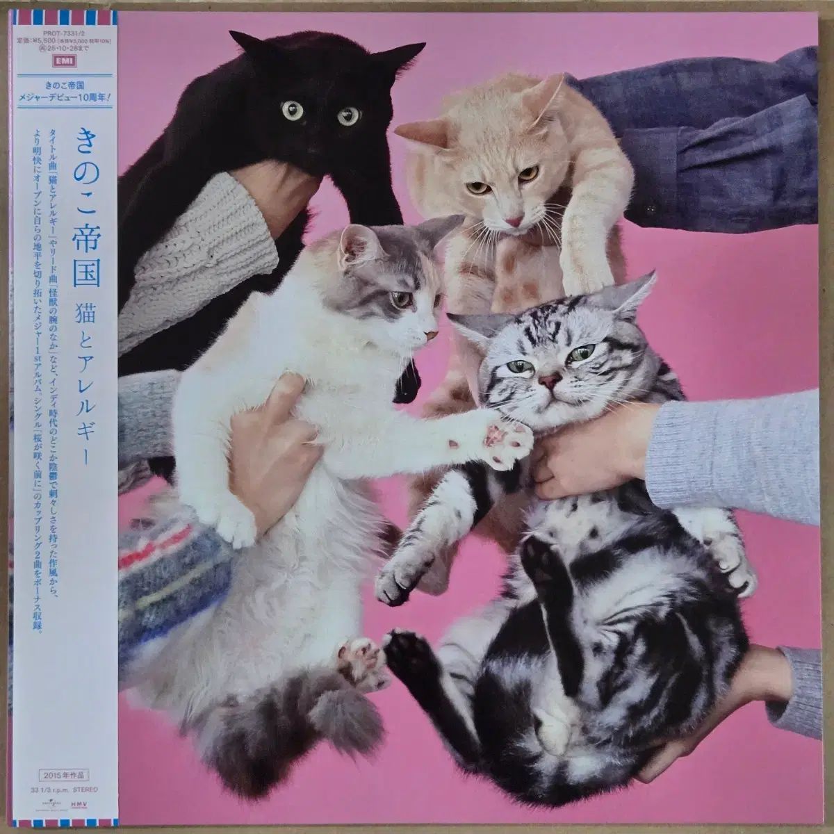 きのこ 帝国 猫 アレルギー LP 初版 ブラックバーン