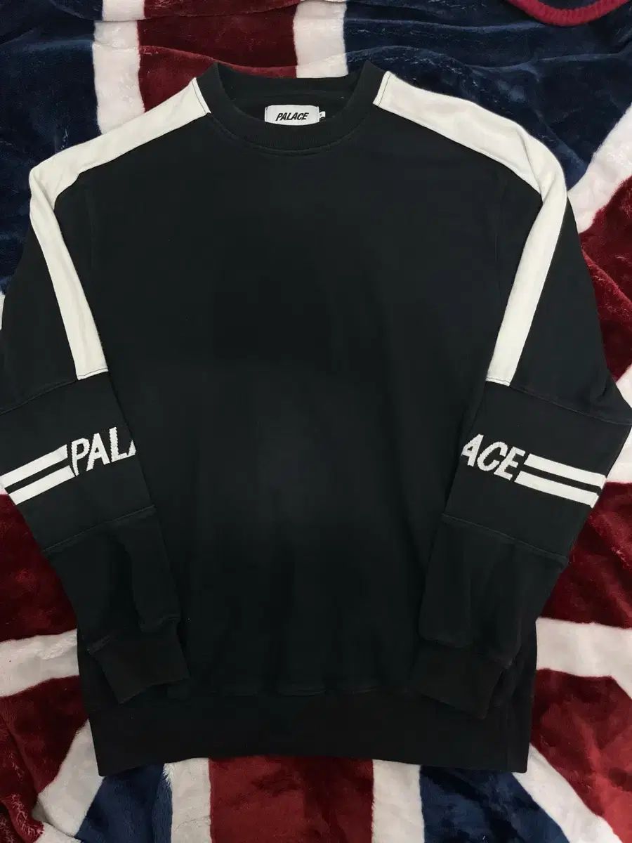 パレス 320 クルー 18 ss クルーネック スウェット 95