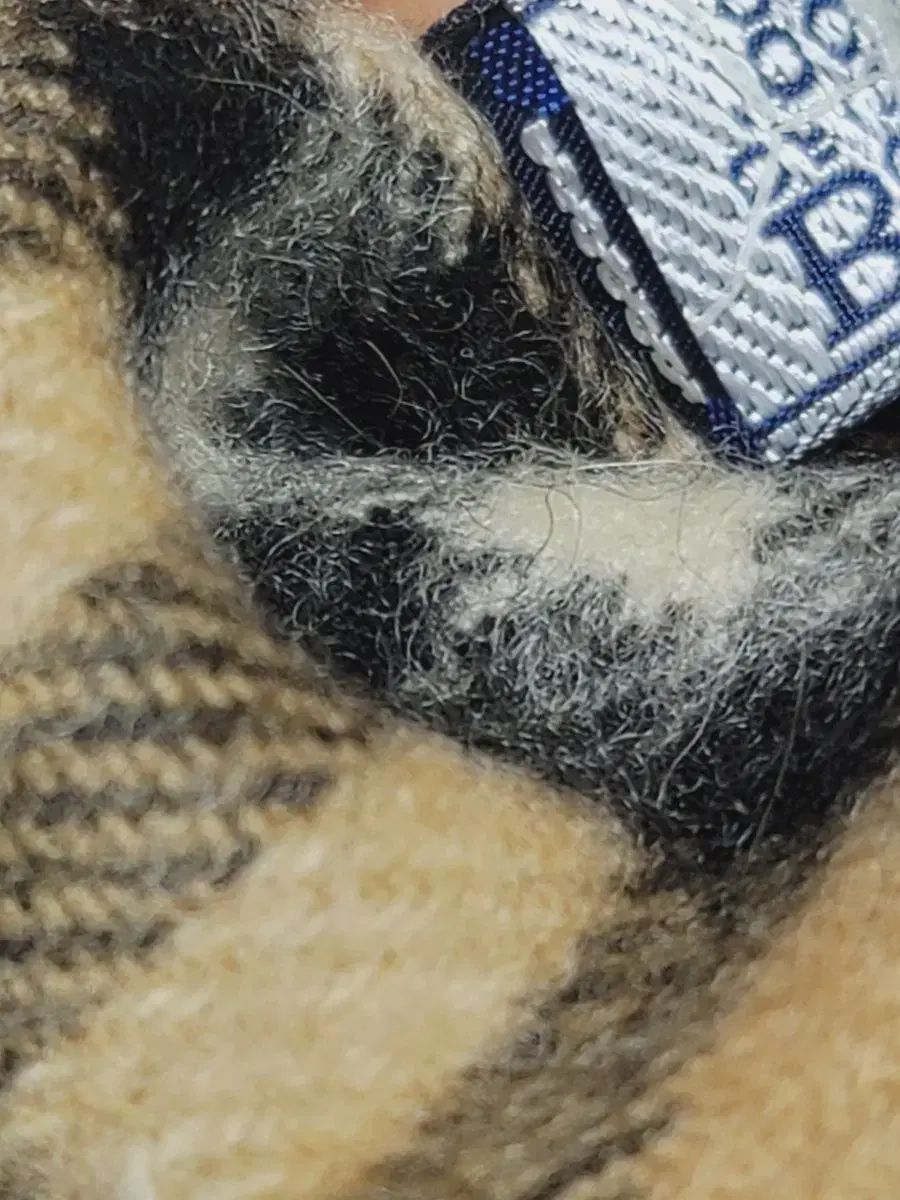  バーバリー クラシック チェック カシミア マフラー マフラー 小物