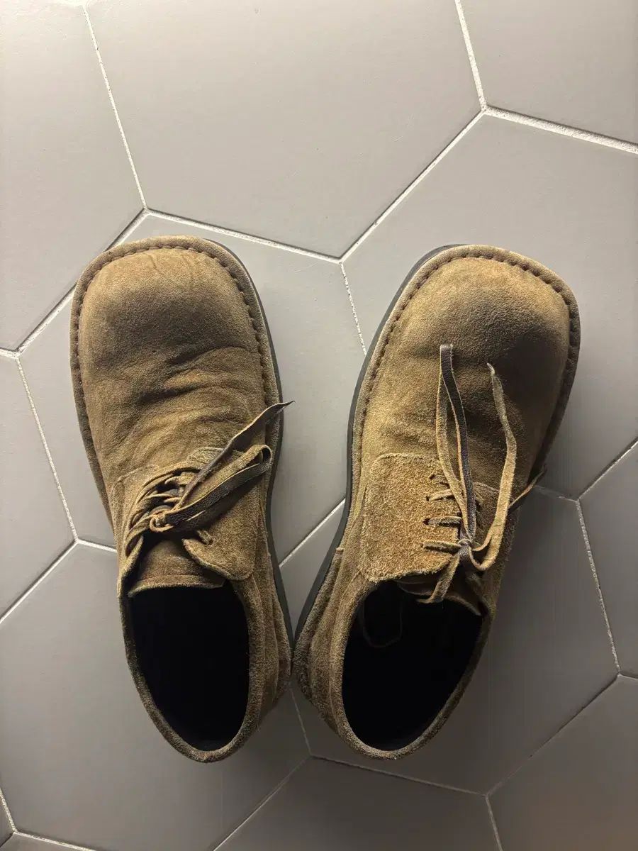 トゥースペース BIG BIRD 260