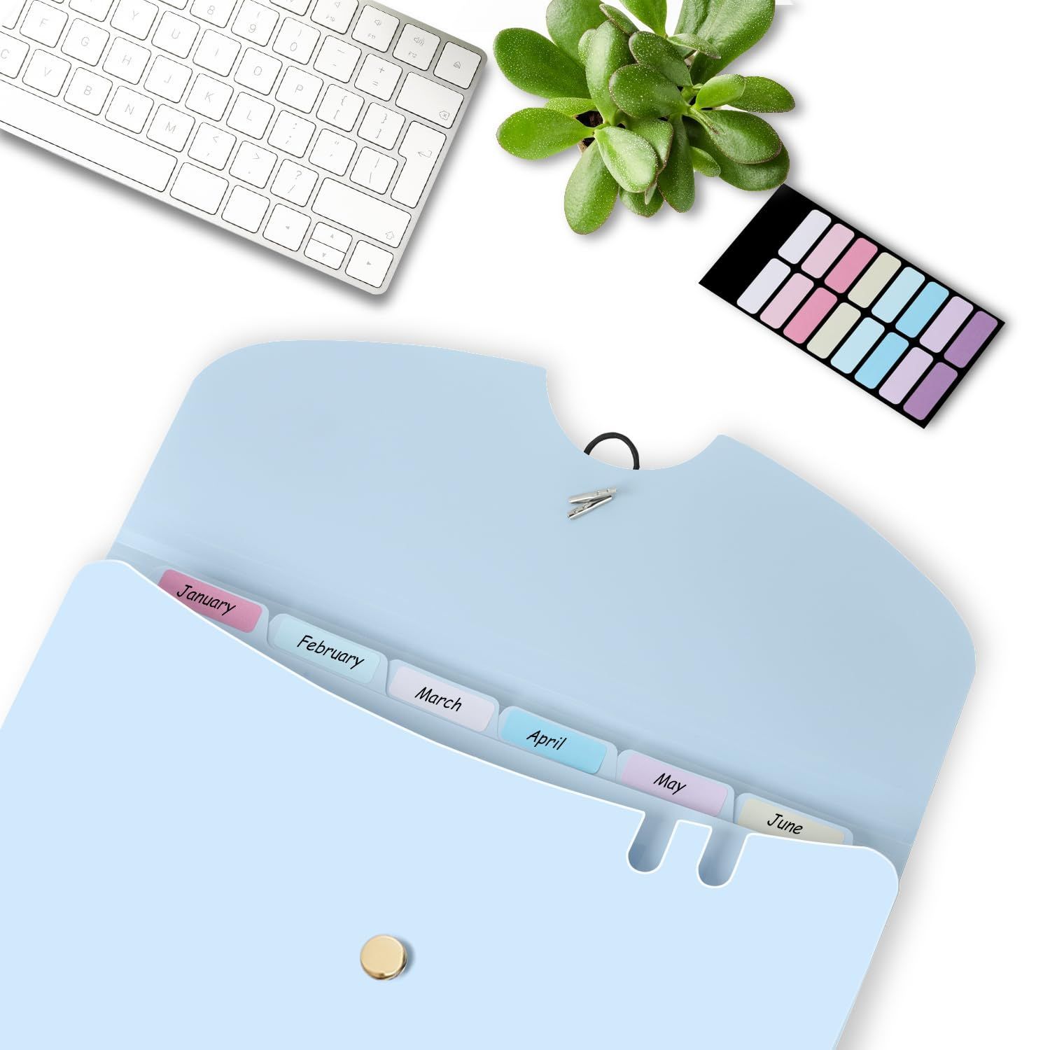 ヨコ型 区分けラベル付き