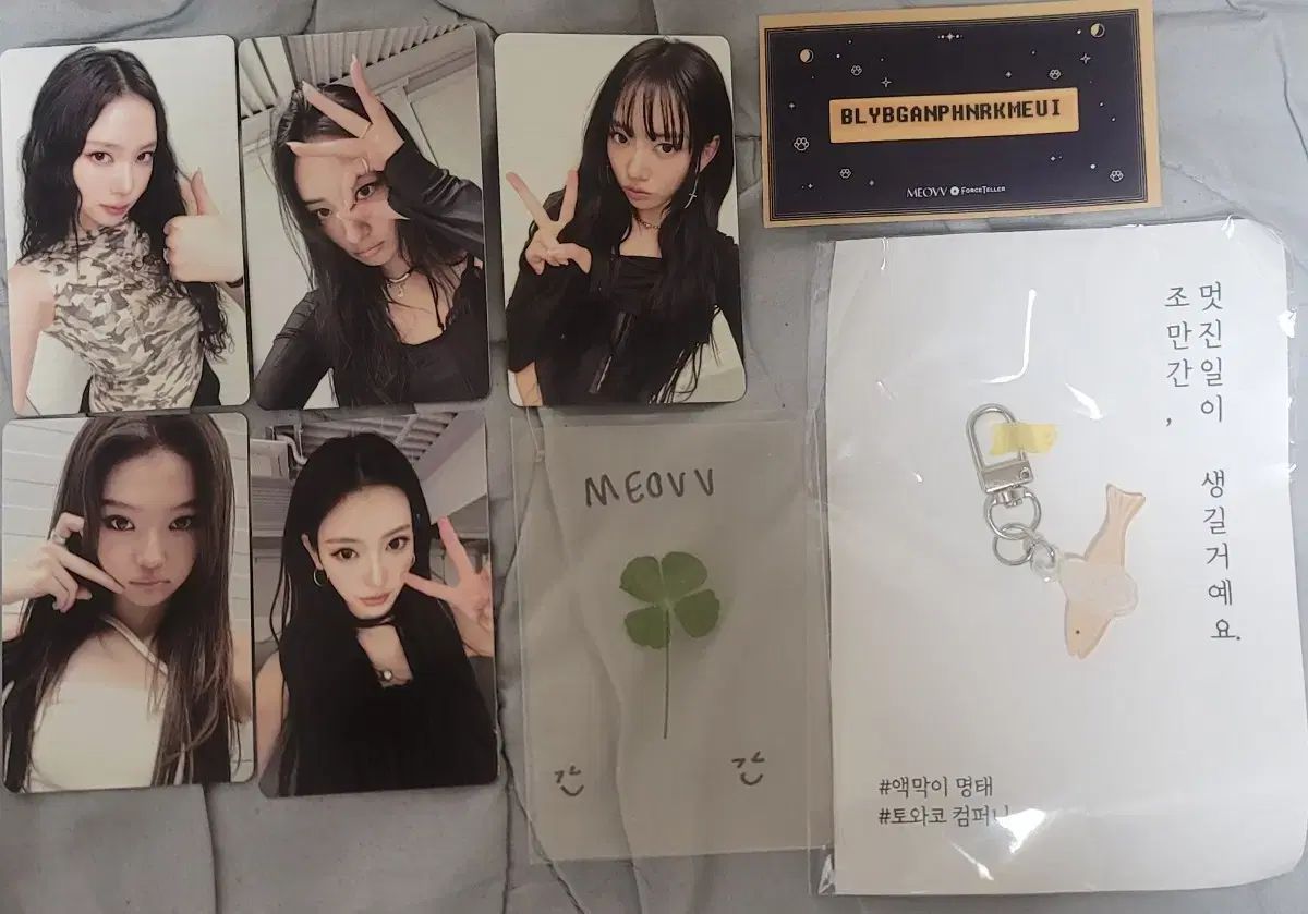 宮尾歌謡大祭典 トゥー写真 フォト PHOTOカード セット meovv photocard set