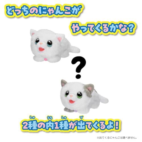  タカラトミー マジカルDIY にゃんことおうちpo f 4 52 dfd その他 キッチン 食器