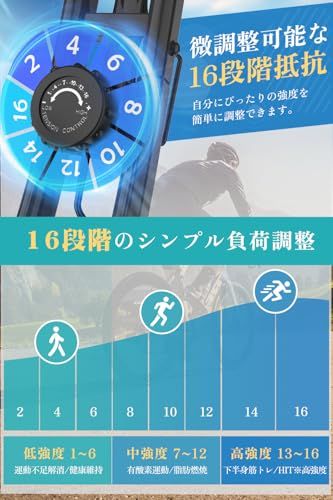 2026年モデル DMASUN エアロバイク 静音＆折りたたみ式 フィットネスバイク 3 in 1アプリ連動 心拍数計測 エクササイズバンド付き 16段階負荷 トレーニングバイク 7段階サドル高さ調整 有酸素運動 組立簡単 5年間製品保 29502 f 5 e