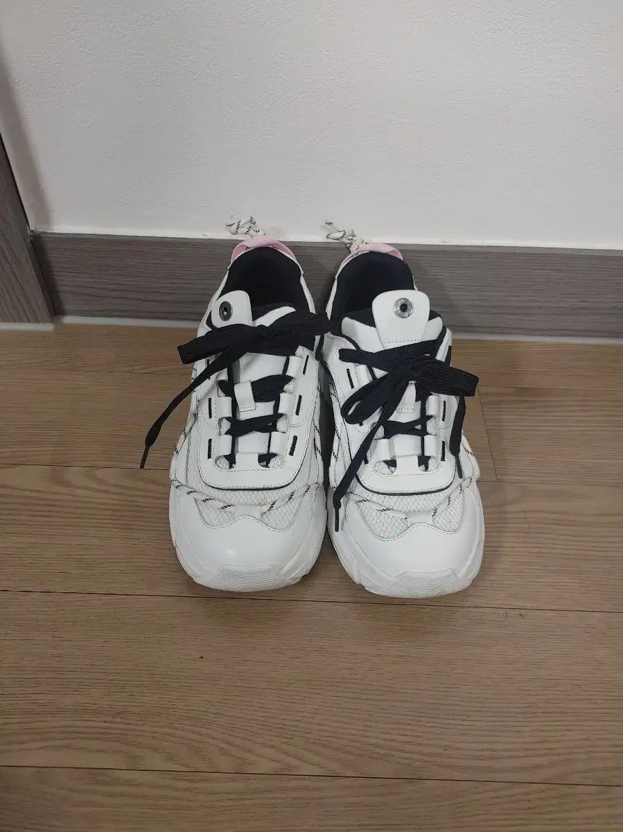 シューコンマボニー