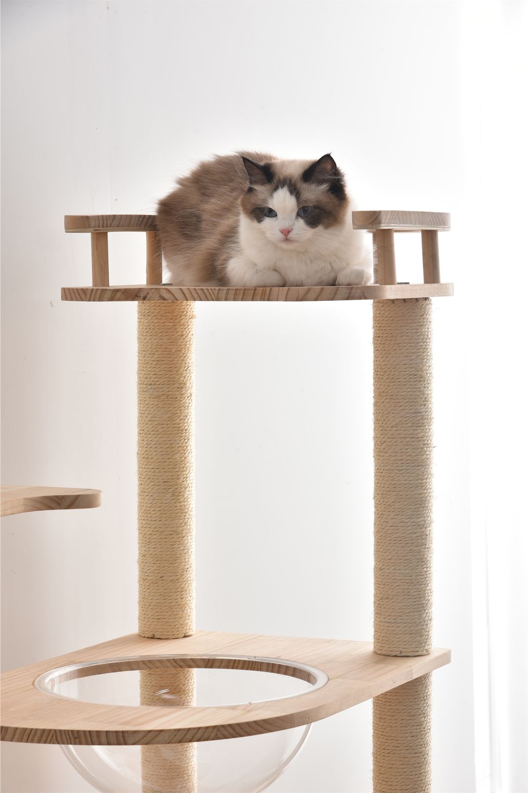 キャットタワー 透明宇宙船 頑丈 据え置き おしゃれ キャットタワー