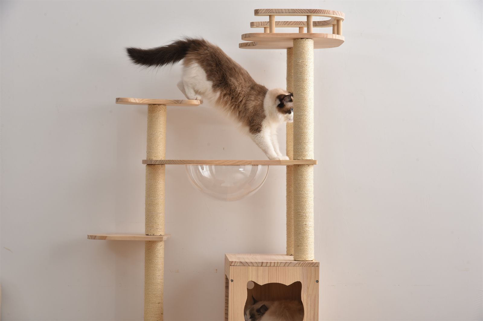 キャットタワー 透明宇宙船 頑丈 据え置き おしゃれ キャットタワー