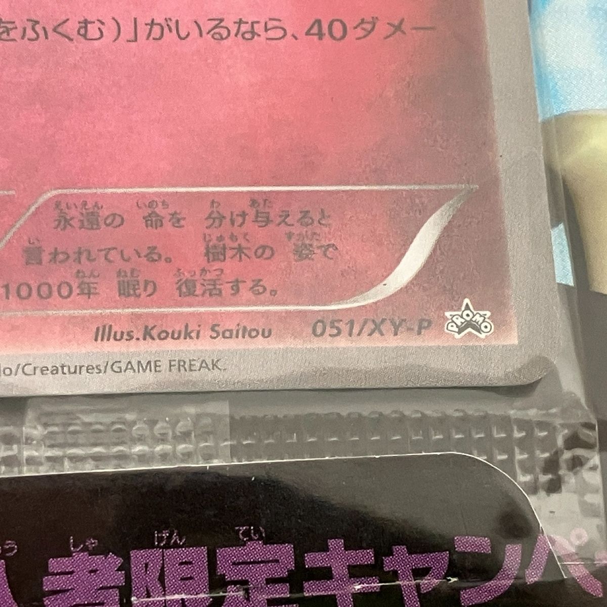 ポケモン ポケモンカードゲームXY 映画公開記念 ゼルネアスセット 破壊