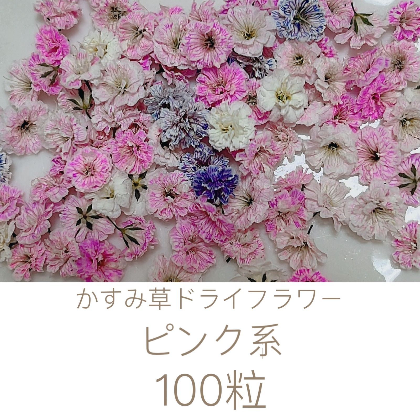 ピンク系 かすみ草ドライフラワー100粒 - メルカリ