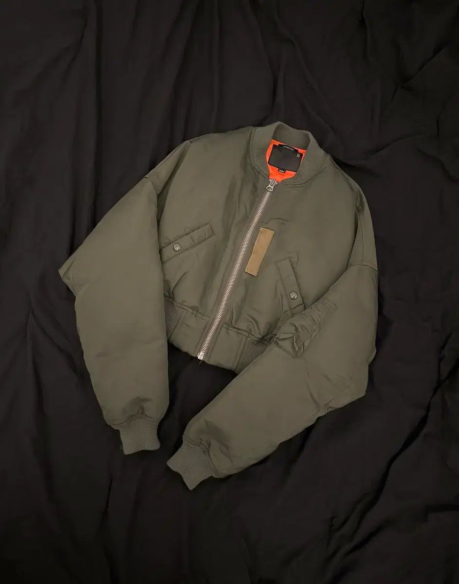 R 13 16 fw リバーシブル クロップド グースダウン ブルゾン
