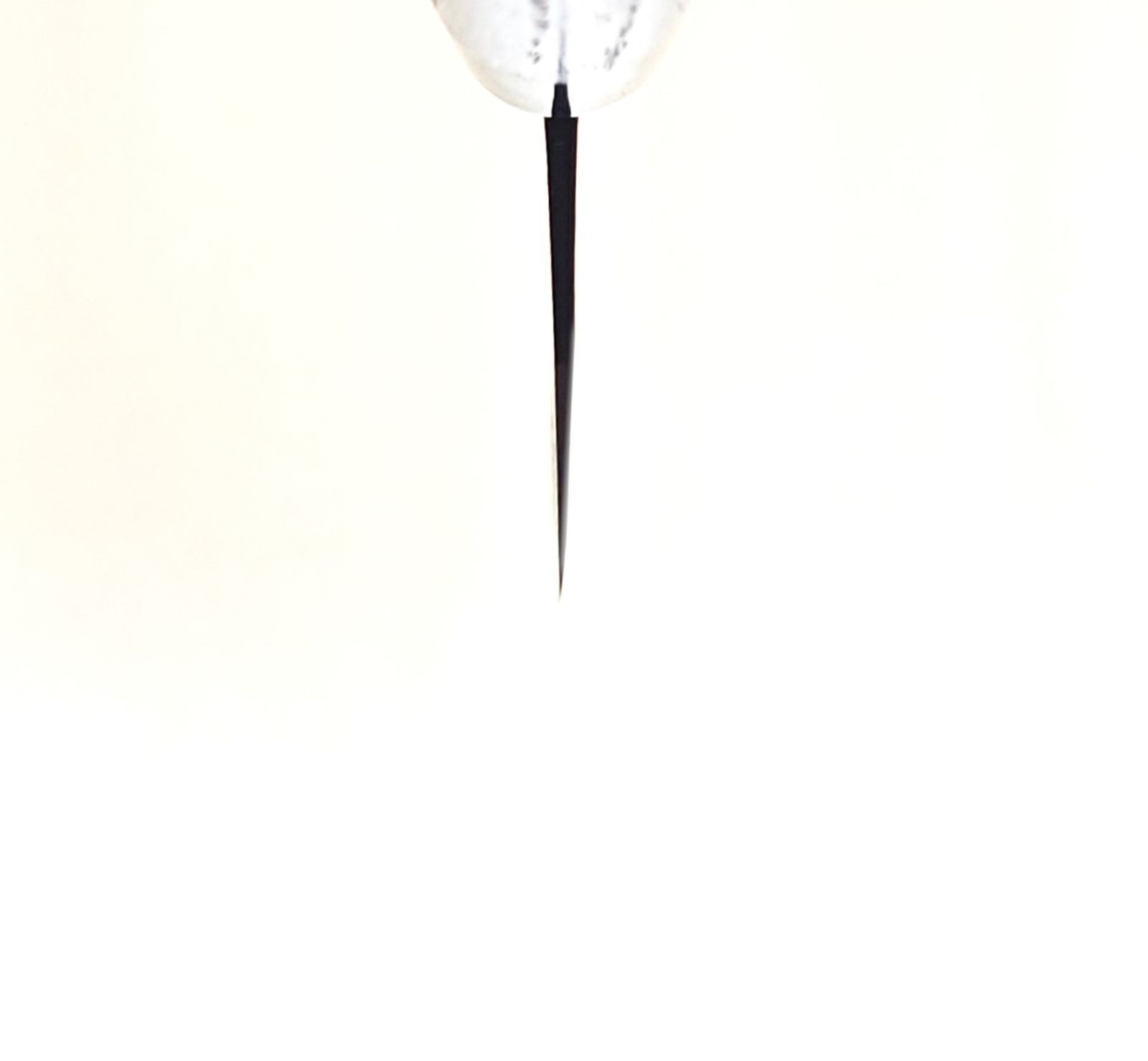 青紙2号 黒打 菜切包丁 210㎜ G1447 焼栗柄 手作り 鍛造 月光作