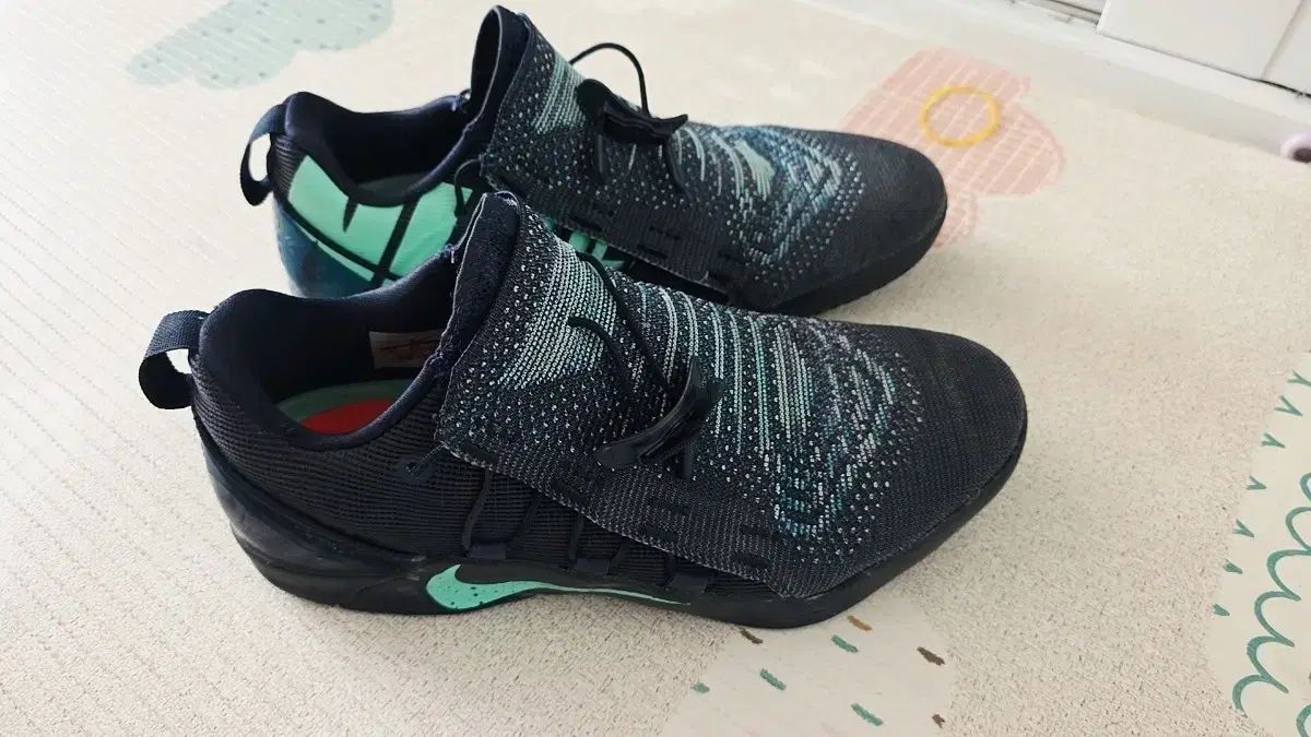 コービー NXT バスケシューズ