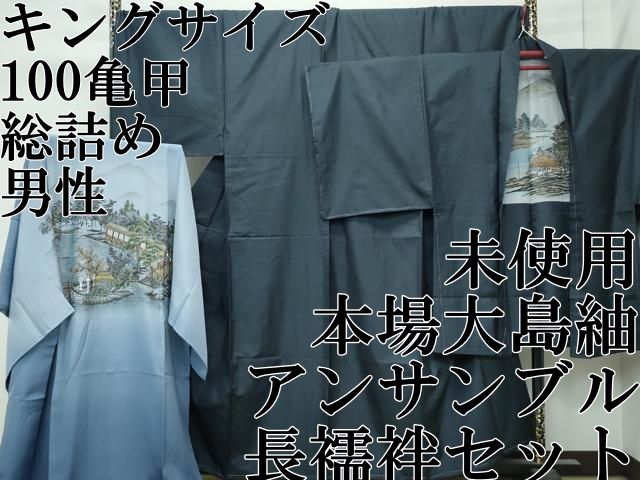 平和屋本店○極上 男性 本場大島紬 アンサンブル 長襦袢セット キング